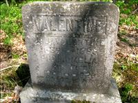 Valentine, A. J. and Phillomelia